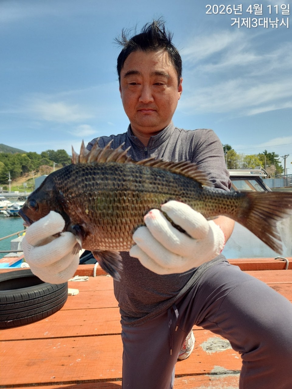 ����ڰ� �ø� �̹���