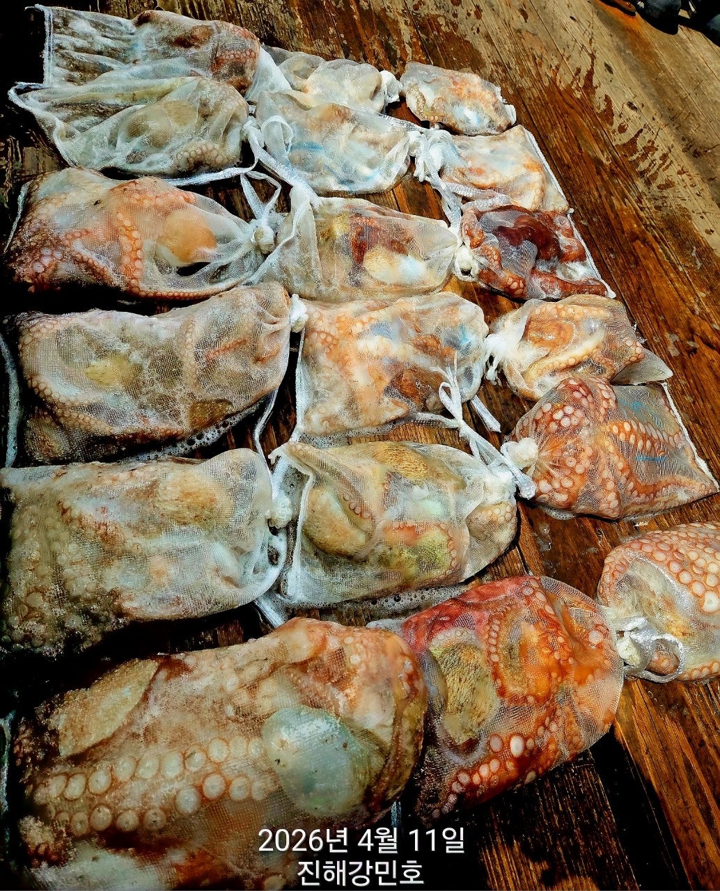 ����ڰ� �ø� �̹���