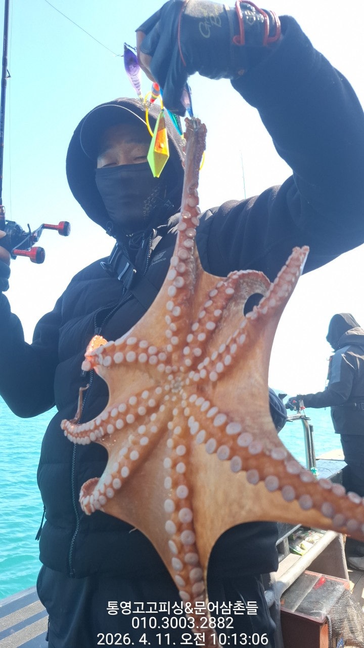 ����ڰ� �ø� �̹���