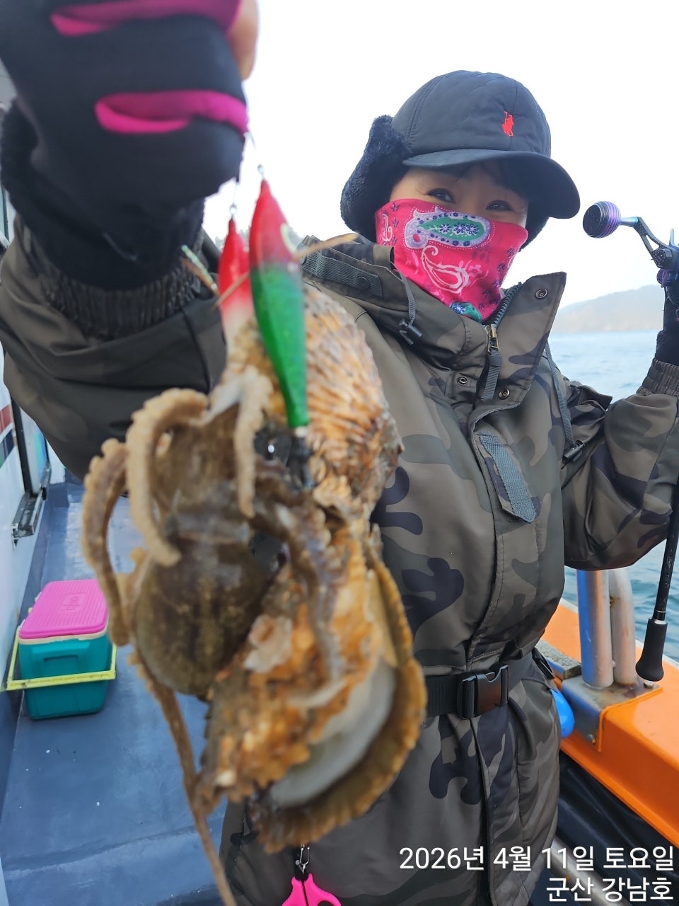 사용자가 올린 이미지