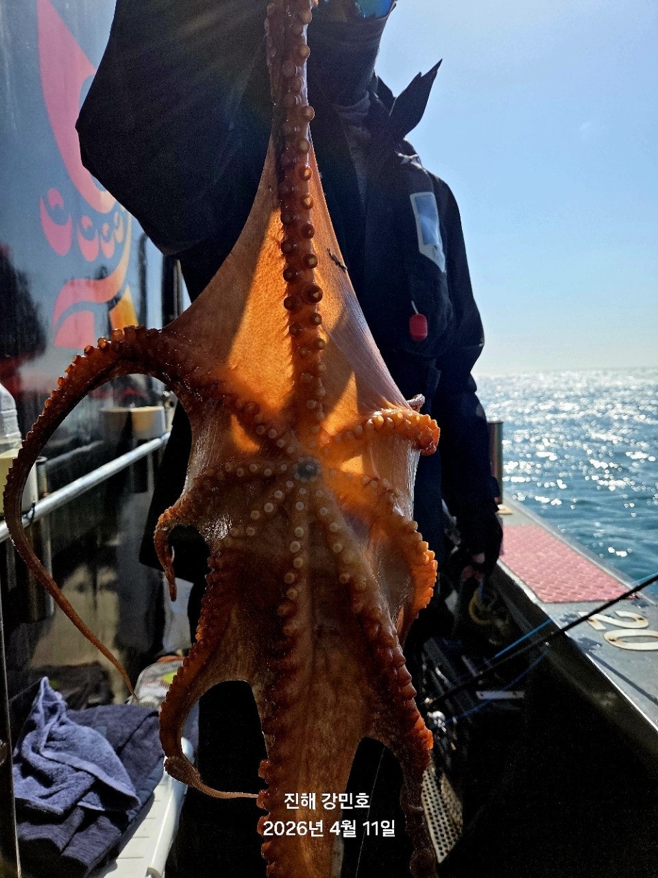 ����ڰ� �ø� �̹���