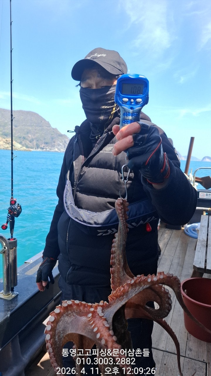 ����ڰ� �ø� �̹���