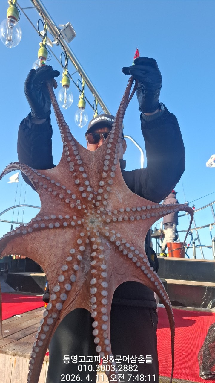 ����ڰ� �ø� �̹���