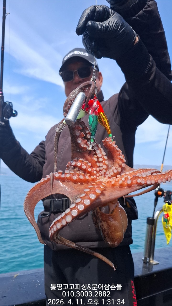 ����ڰ� �ø� �̹���