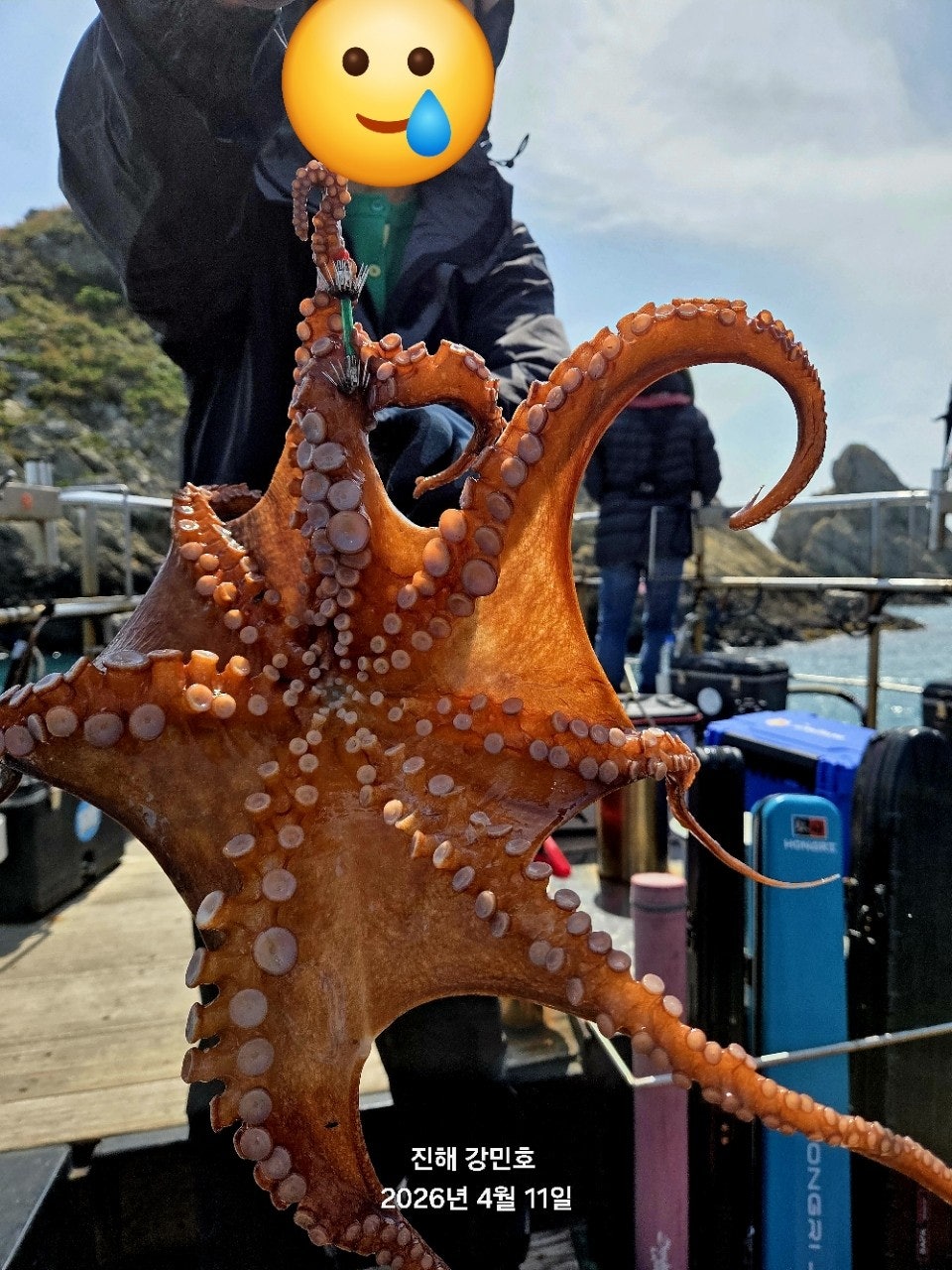 ����ڰ� �ø� �̹���