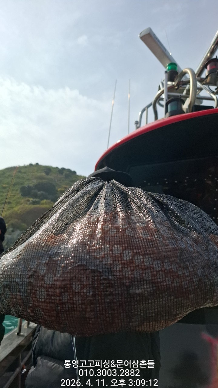 ����ڰ� �ø� �̹���