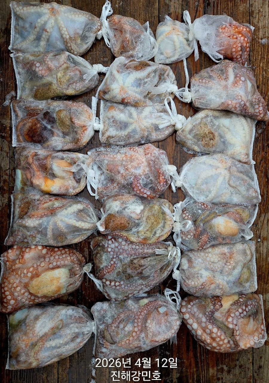 ����ڰ� �ø� �̹���