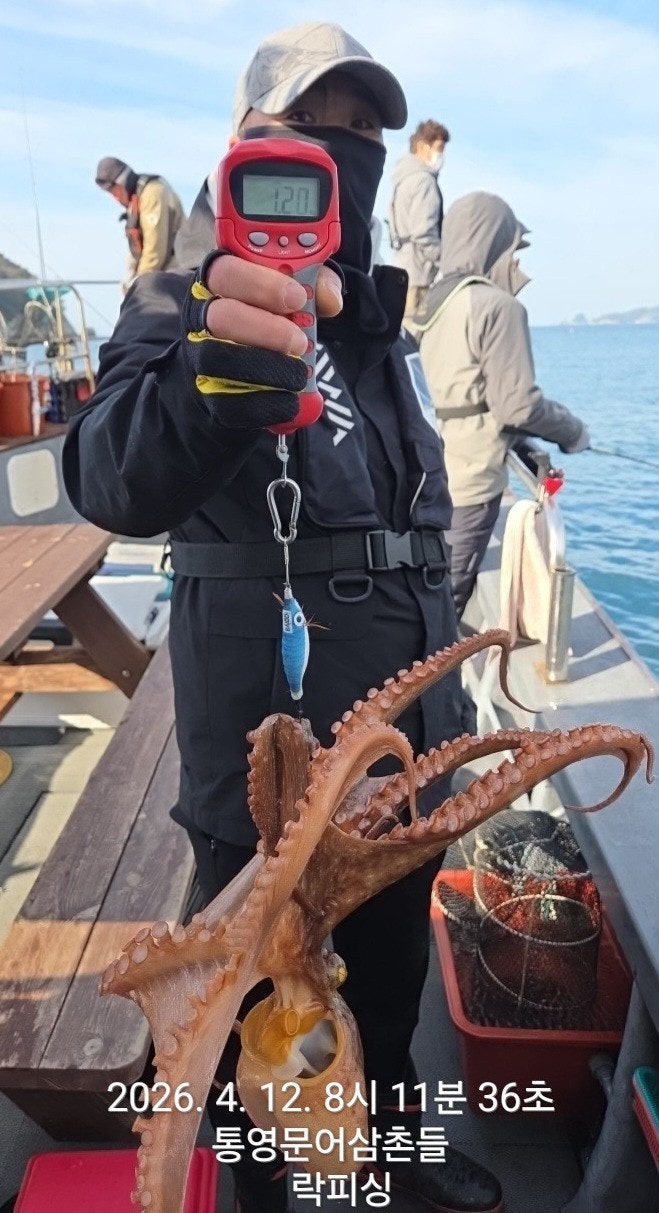 ����ڰ� �ø� �̹���