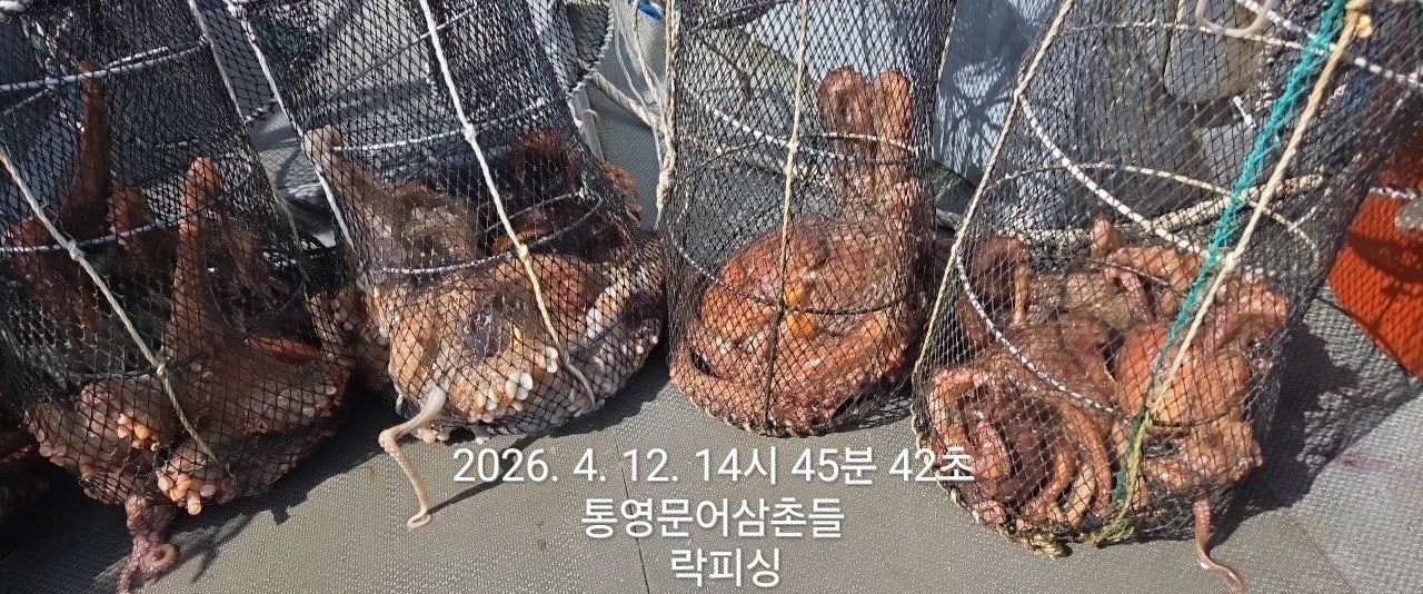 ����ڰ� �ø� �̹���