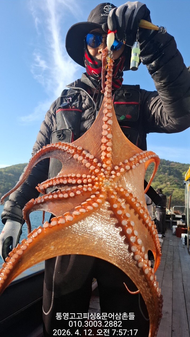 ����ڰ� �ø� �̹���