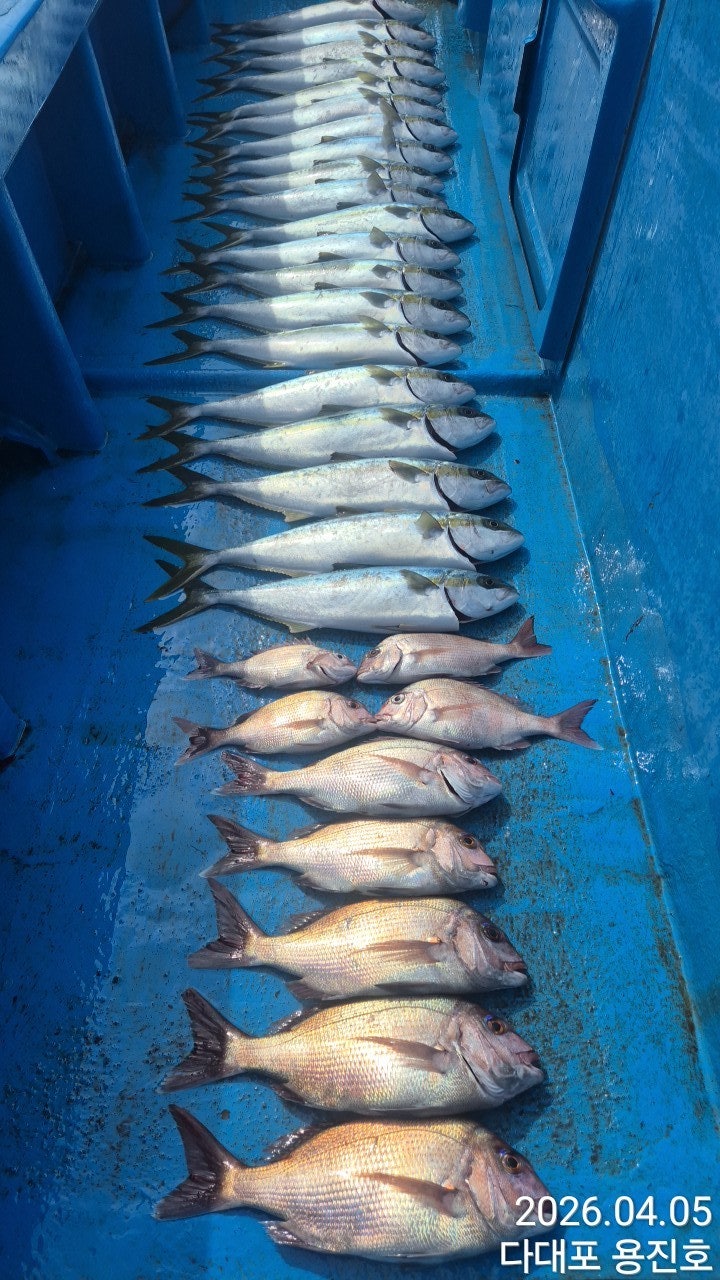 ����ڰ� �ø� �̹���