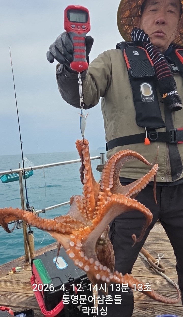 ����ڰ� �ø� �̹���