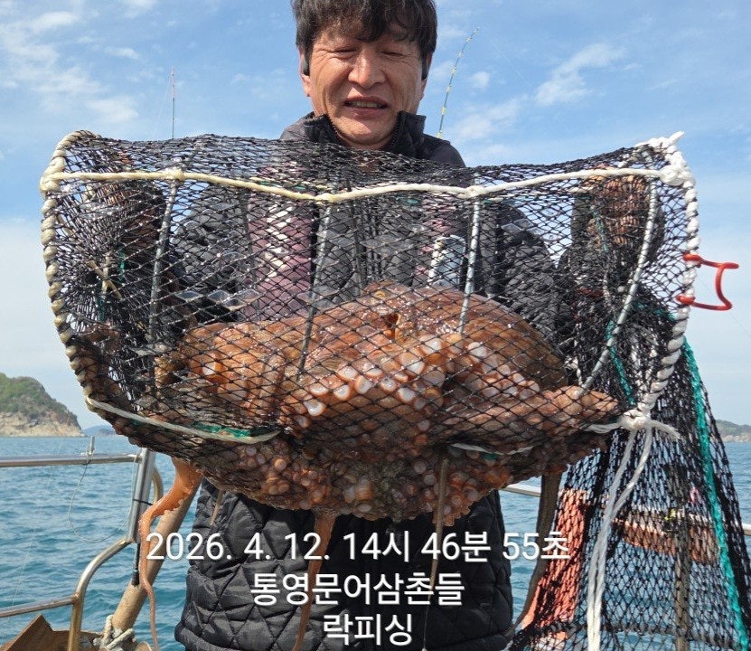 ����ڰ� �ø� �̹���