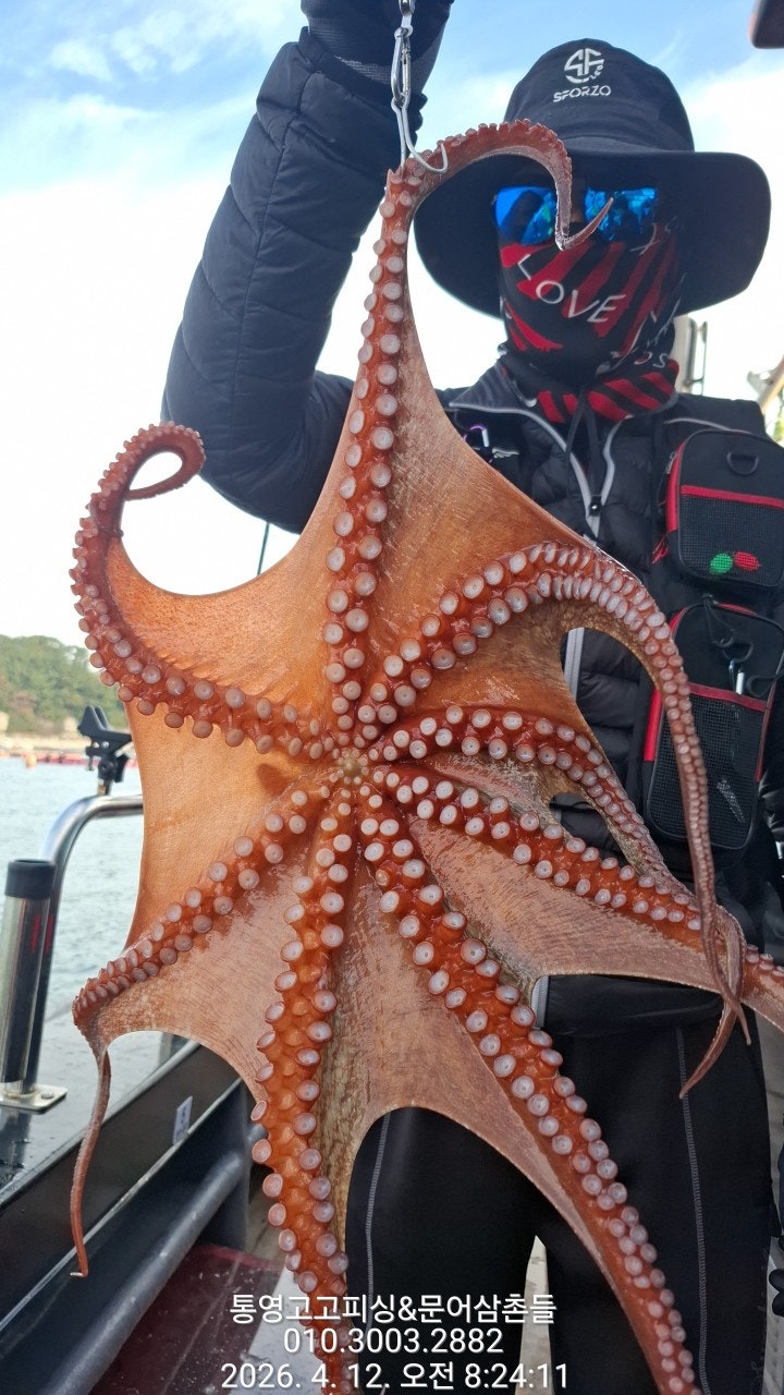 ����ڰ� �ø� �̹���