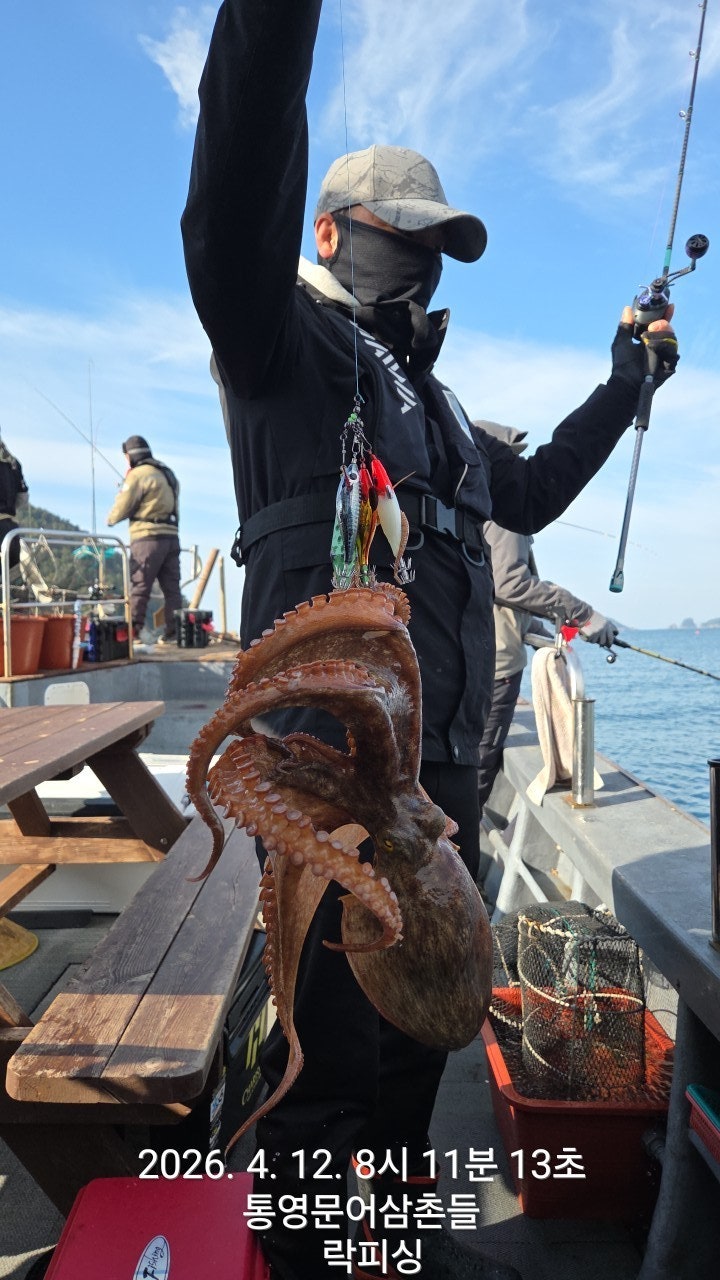 ����ڰ� �ø� �̹���