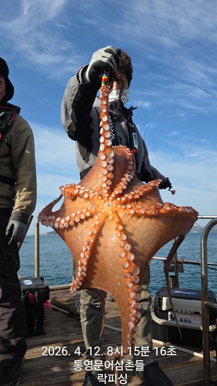 ����ڰ� �ø� �̹���