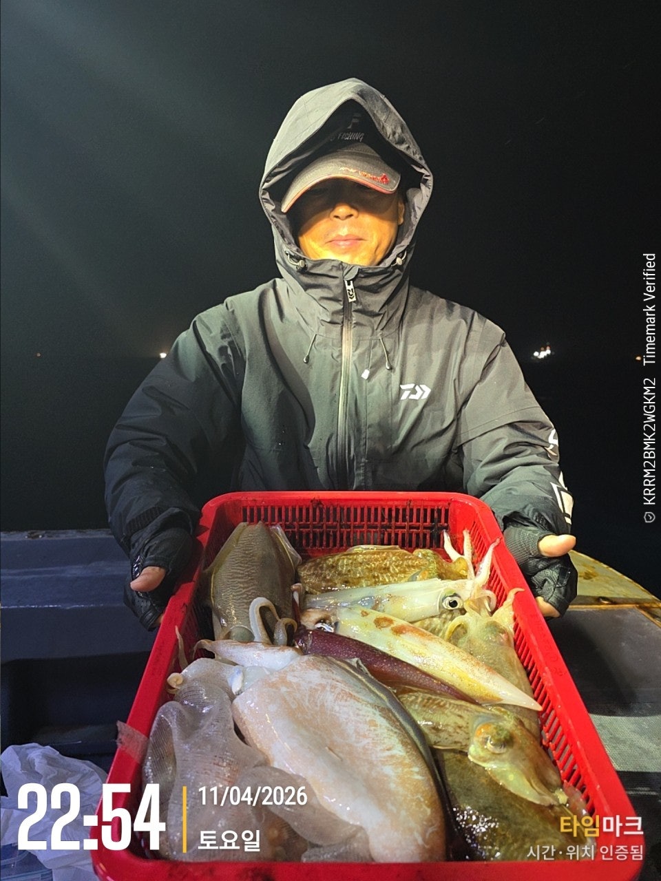 사용자가 올린 이미지