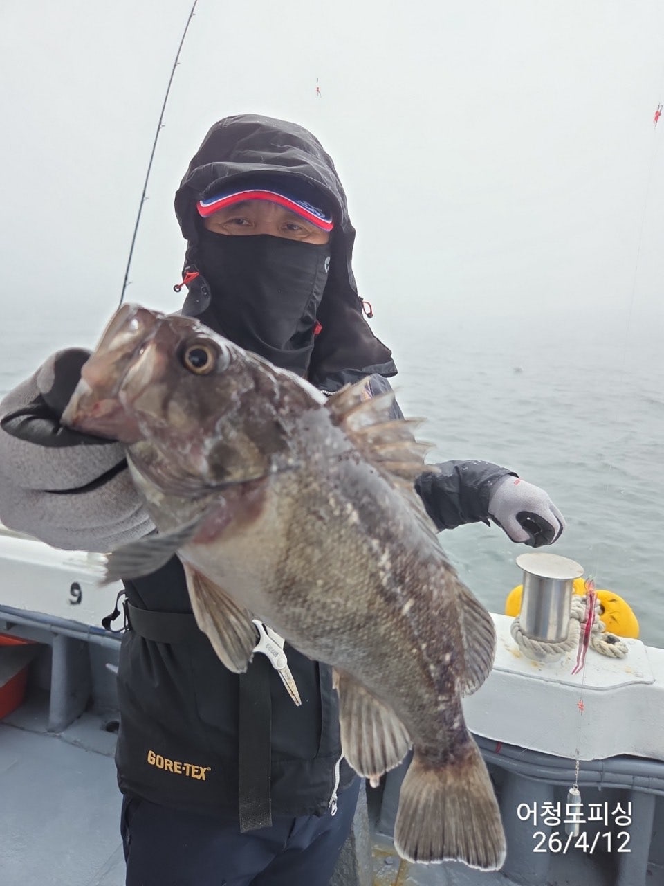 사용자가 올린 이미지