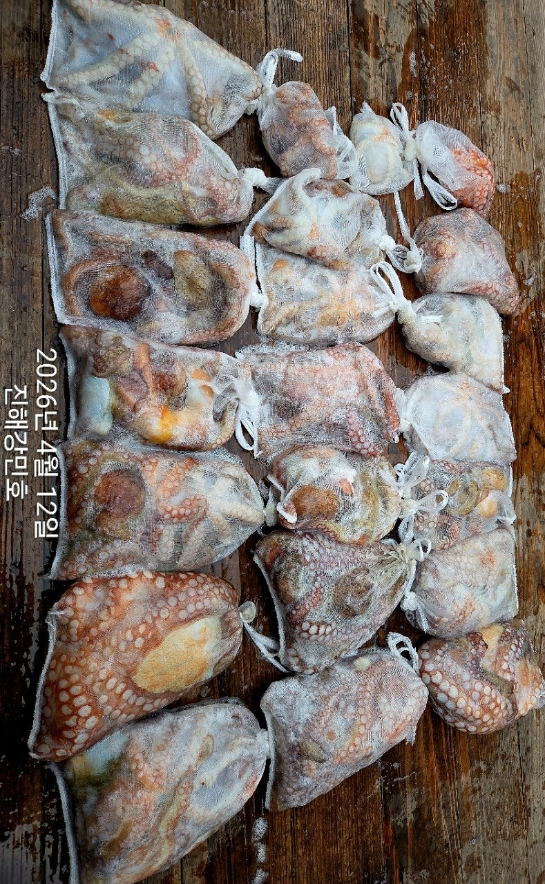 ����ڰ� �ø� �̹���