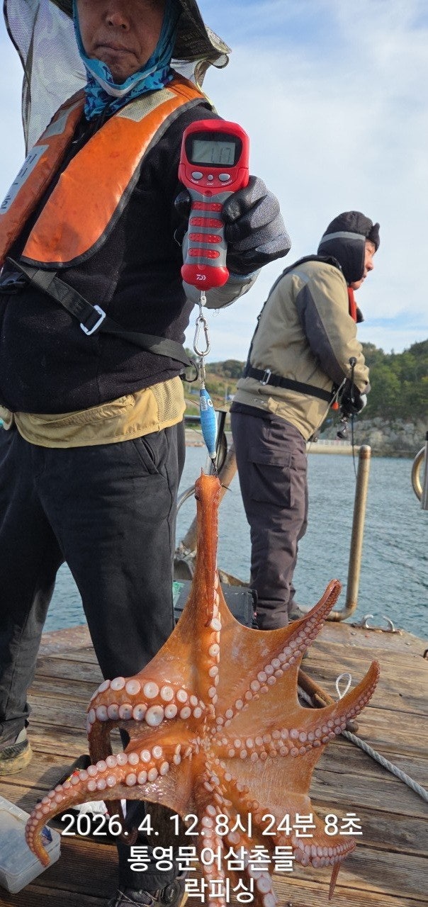 ����ڰ� �ø� �̹���