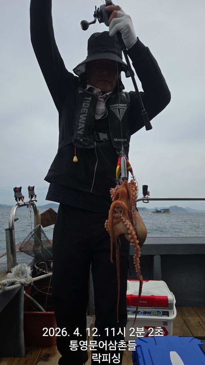 ����ڰ� �ø� �̹���