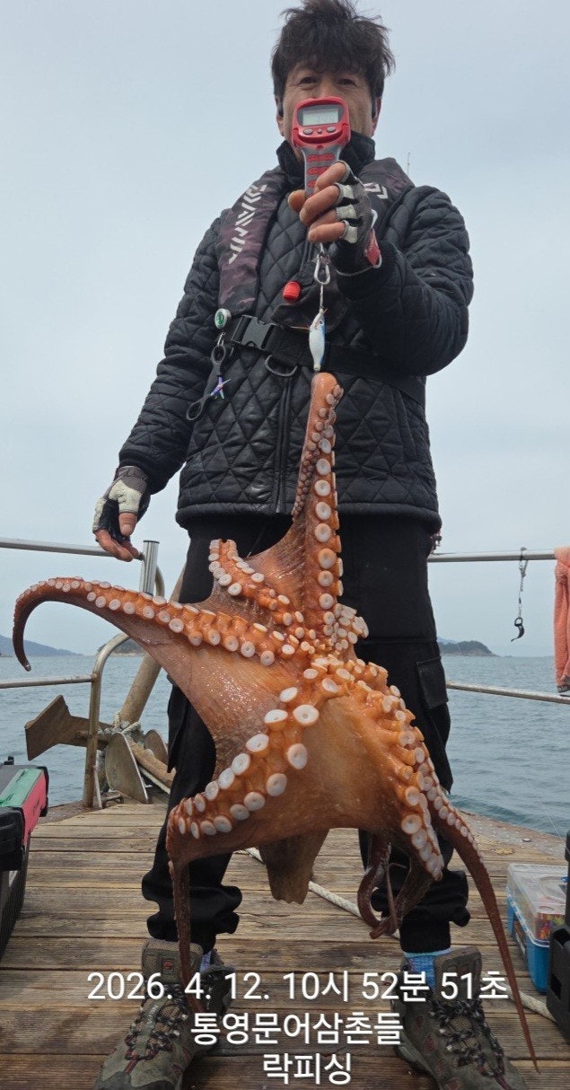 ����ڰ� �ø� �̹���