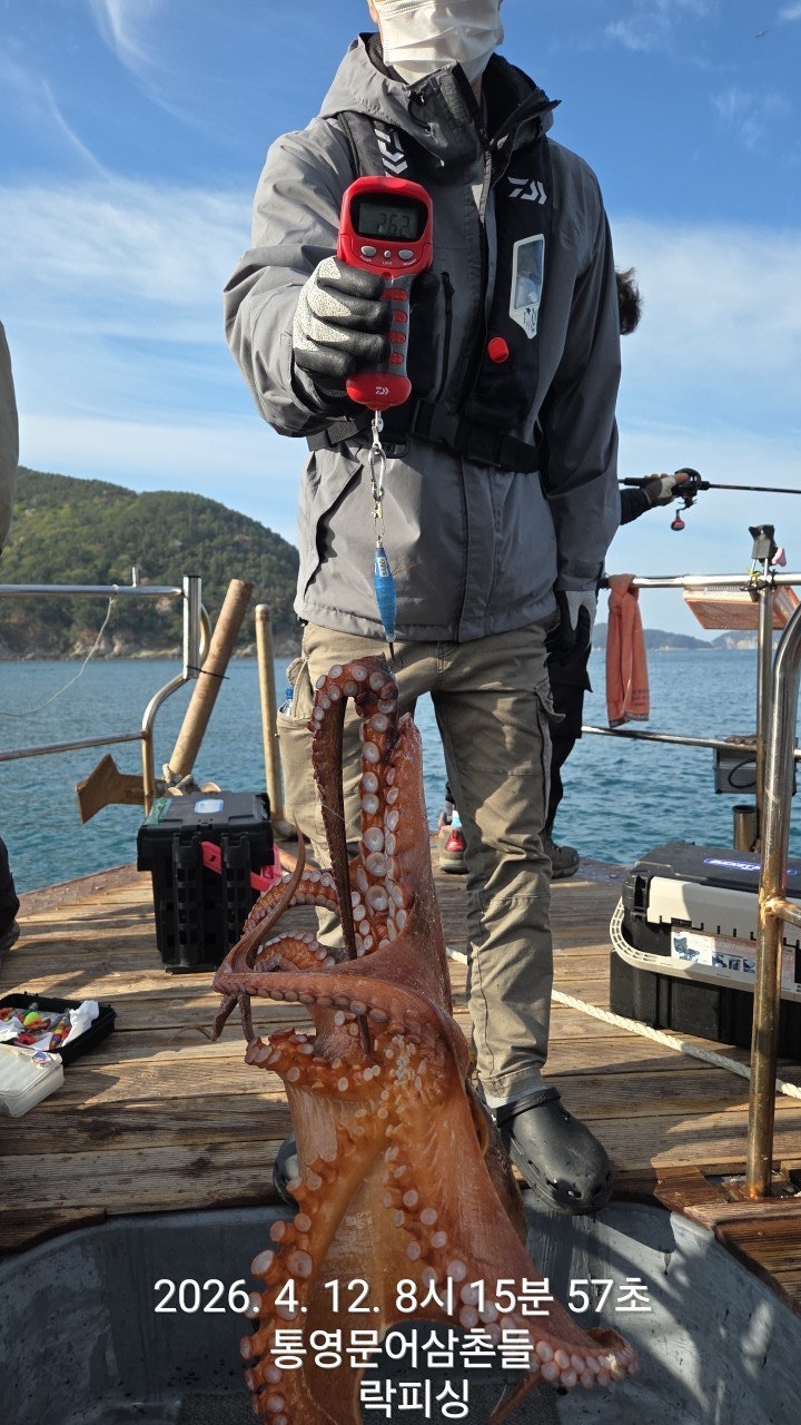 ����ڰ� �ø� �̹���