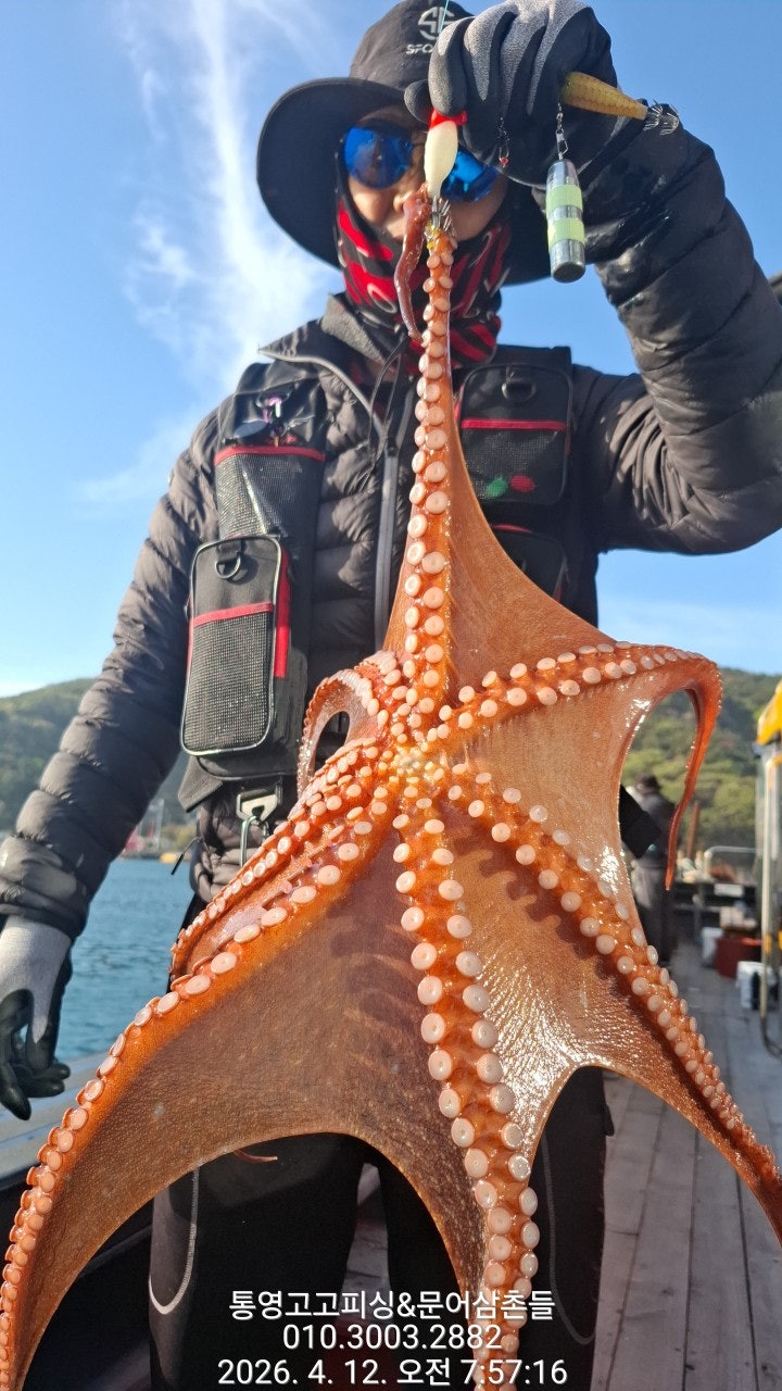 ����ڰ� �ø� �̹���