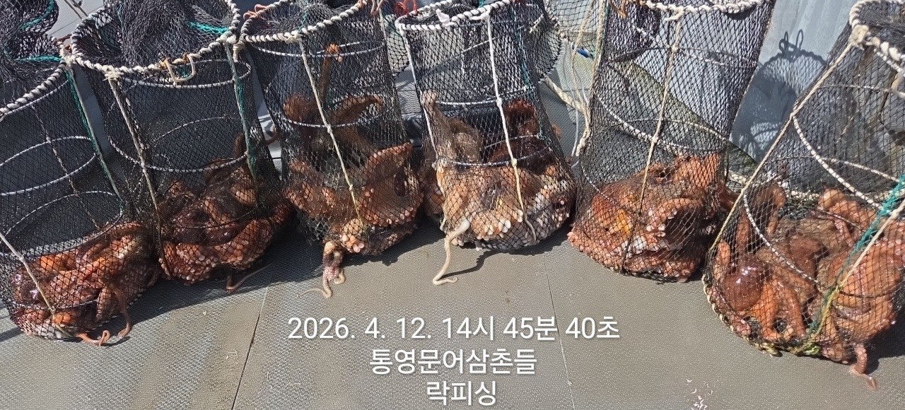 ����ڰ� �ø� �̹���