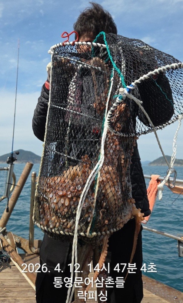 ����ڰ� �ø� �̹���