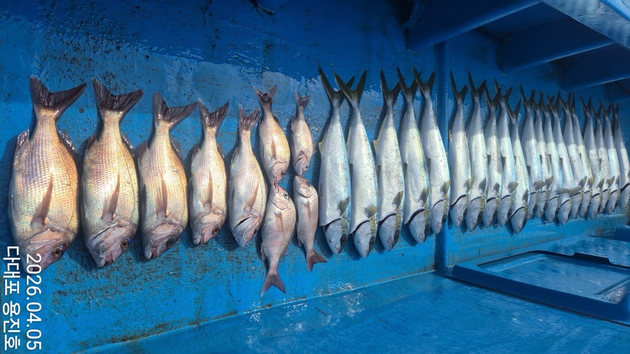 ����ڰ� �ø� �̹���