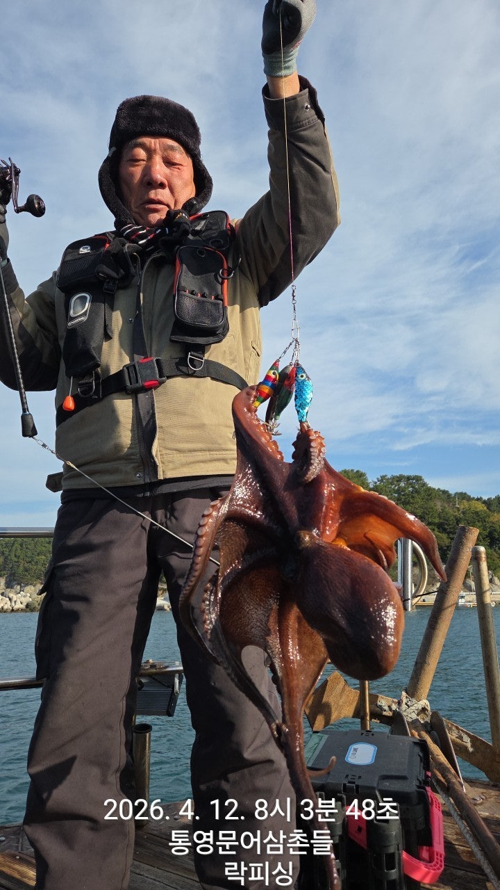 ����ڰ� �ø� �̹���