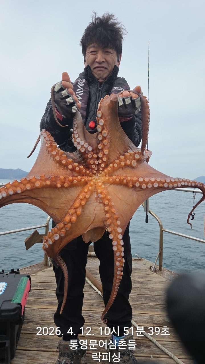 ����ڰ� �ø� �̹���