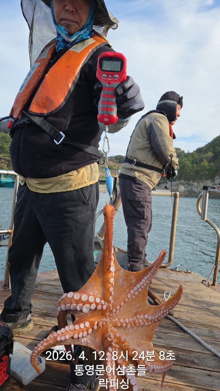 ����ڰ� �ø� �̹���