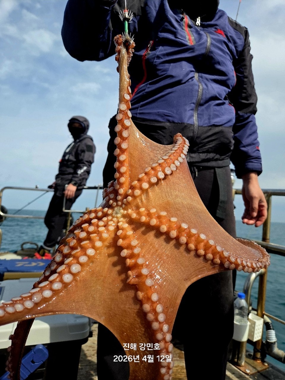 ����ڰ� �ø� �̹���