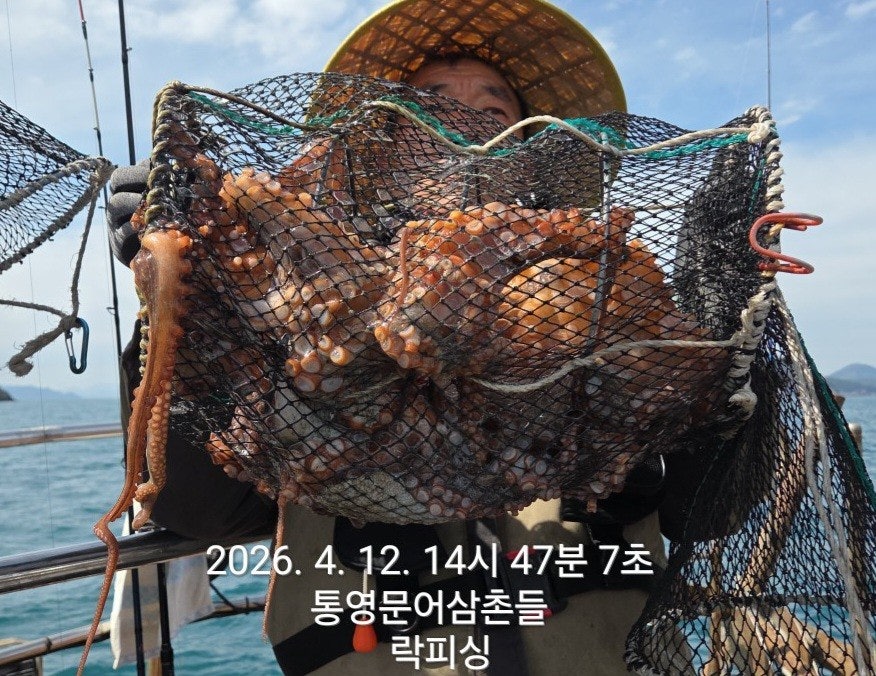 ����ڰ� �ø� �̹���