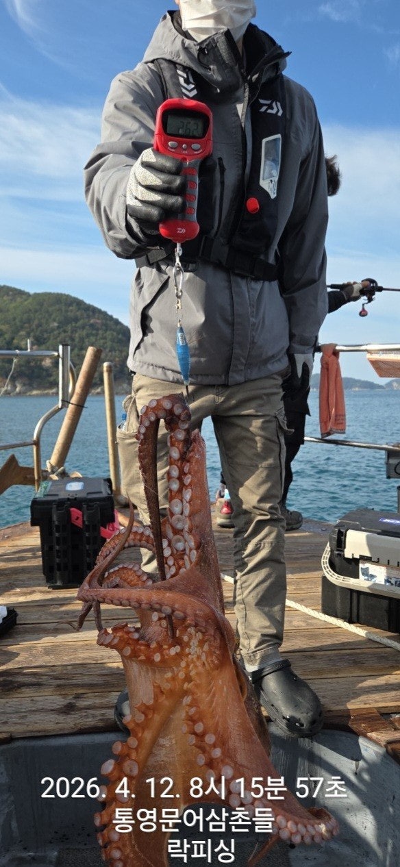 ����ڰ� �ø� �̹���