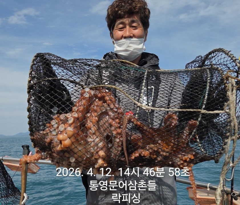 ����ڰ� �ø� �̹���