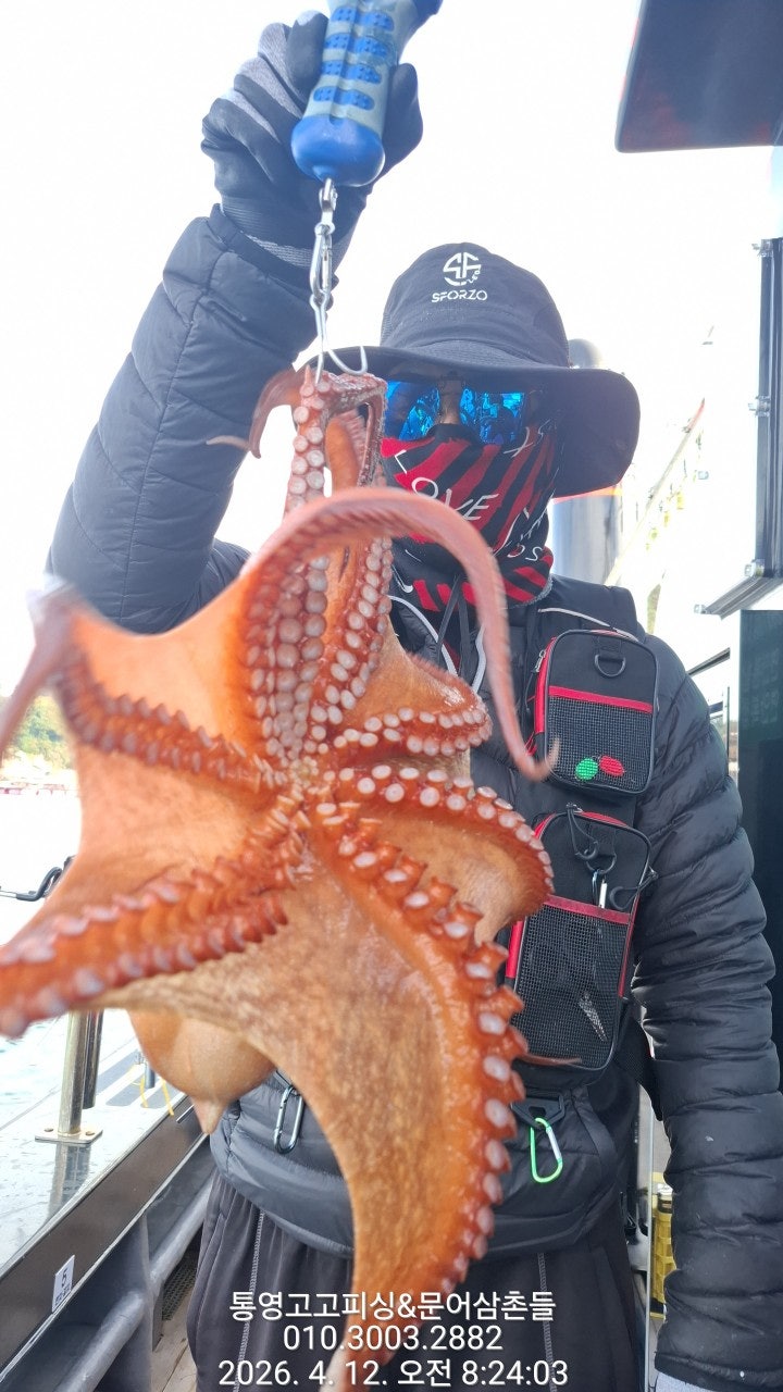 ����ڰ� �ø� �̹���