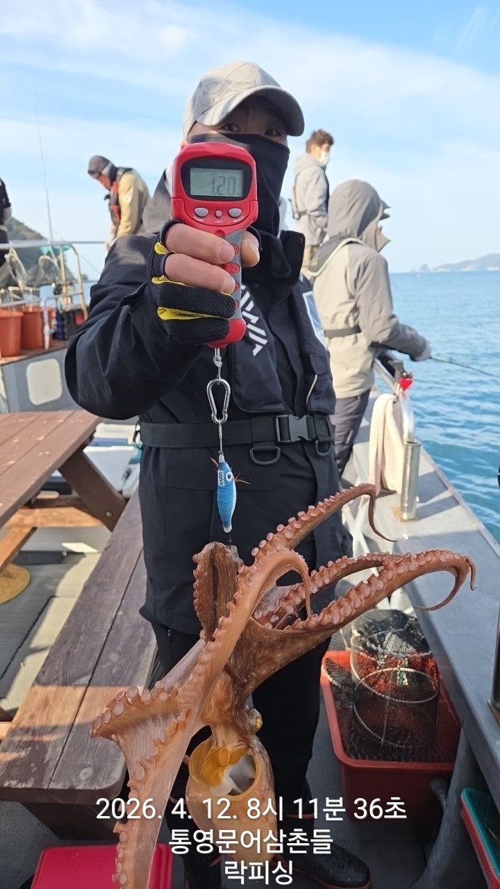 ����ڰ� �ø� �̹���