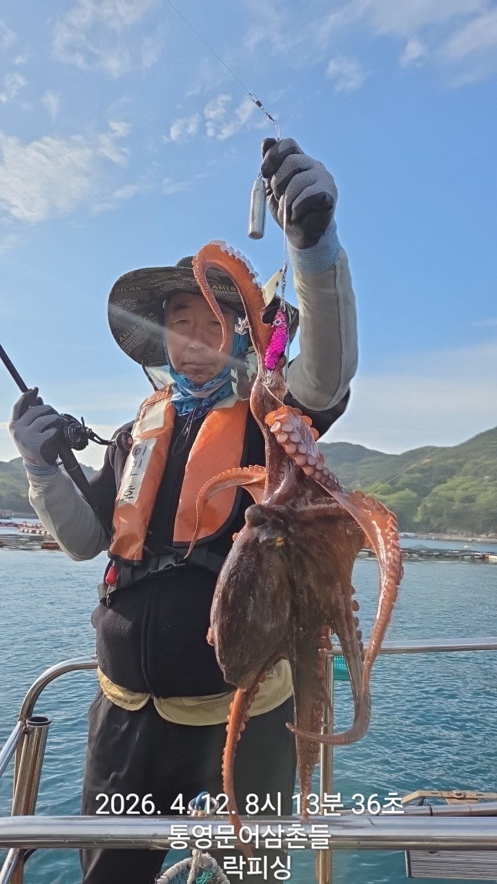 ����ڰ� �ø� �̹���