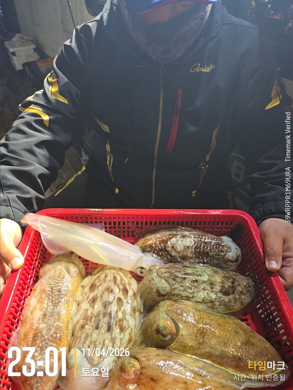 사용자가 올린 이미지