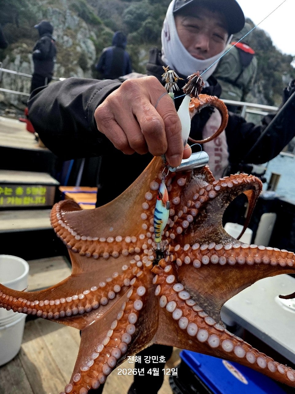 ����ڰ� �ø� �̹���