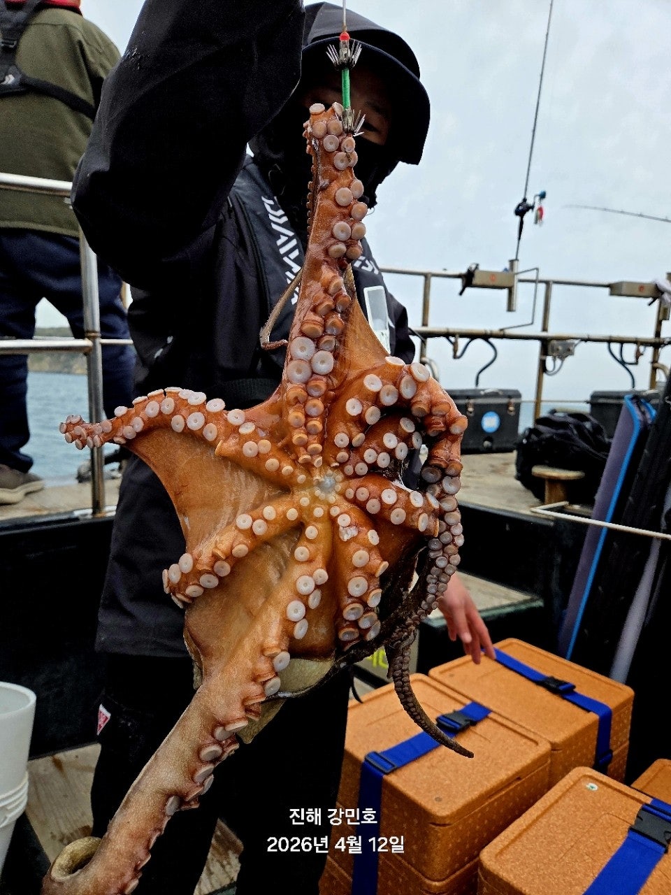 ����ڰ� �ø� �̹���