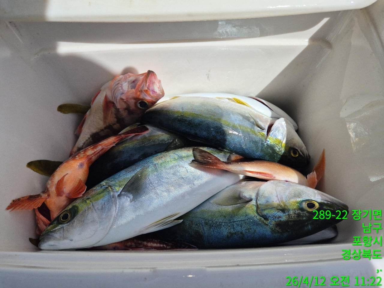 f_683Ud018svcidopd0dzq874_9bt2m0.jpg
