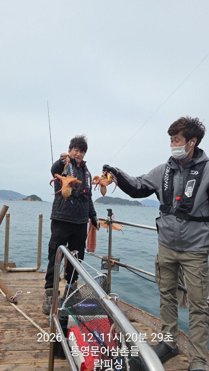 ����ڰ� �ø� �̹���