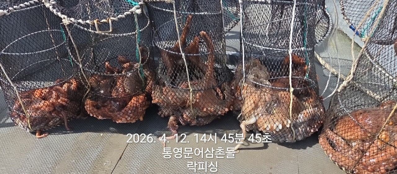 ����ڰ� �ø� �̹���