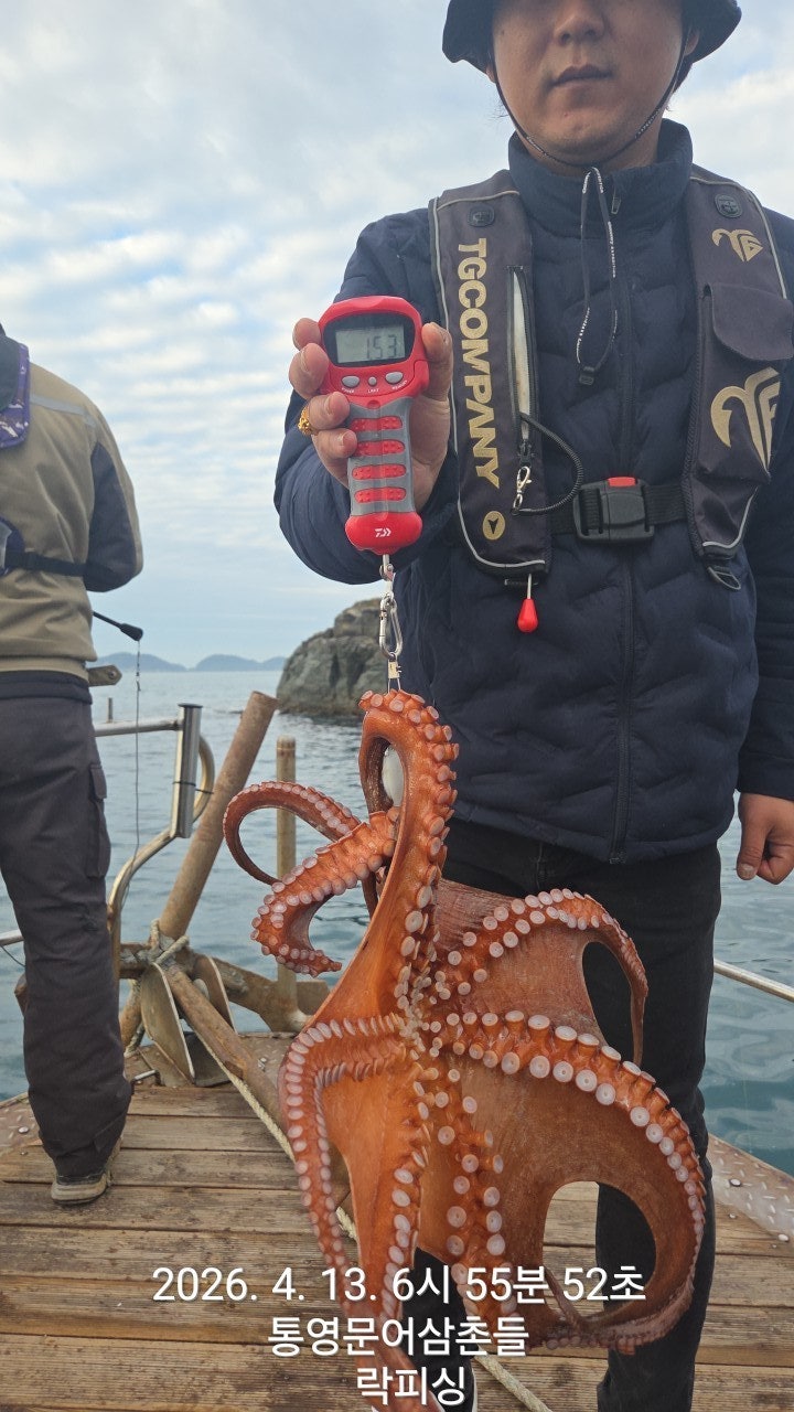 ����ڰ� �ø� �̹���