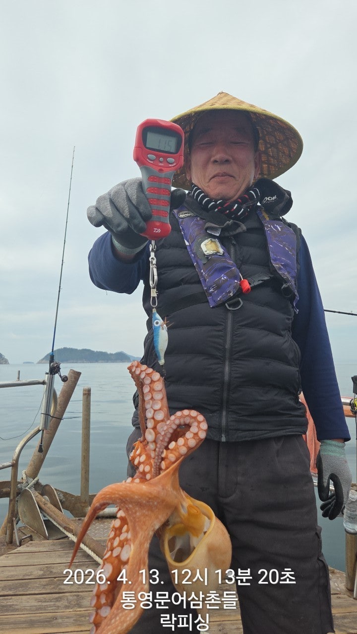 ����ڰ� �ø� �̹���