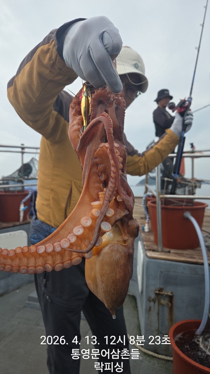 ����ڰ� �ø� �̹���